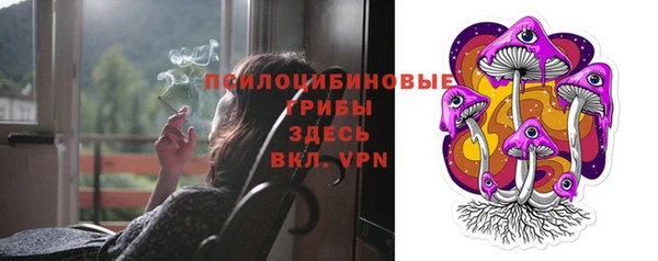 прущие крисы Вяземский