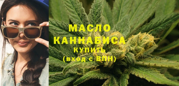 прущие крисы Вяземский
