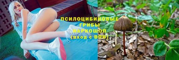 прущие крисы Вяземский