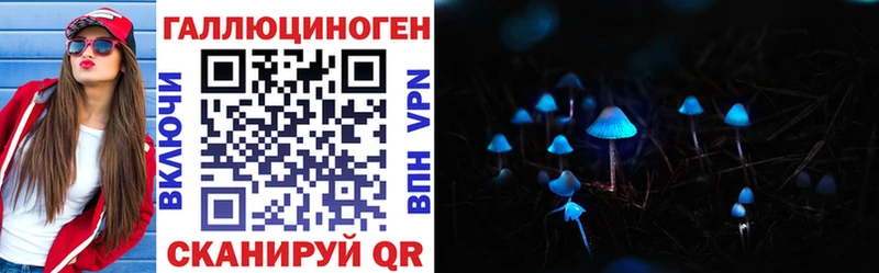Псилоцибиновые грибы Cubensis  Гусь-Хрустальный 