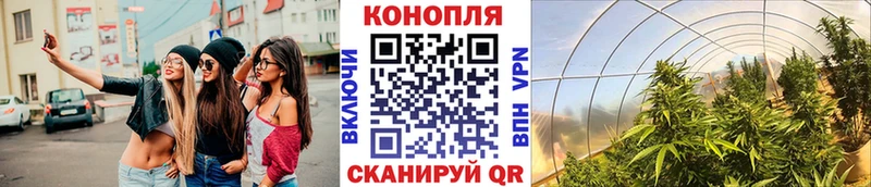 купить наркоту  Гусь-Хрустальный  Бошки марихуана ГИДРОПОН 
